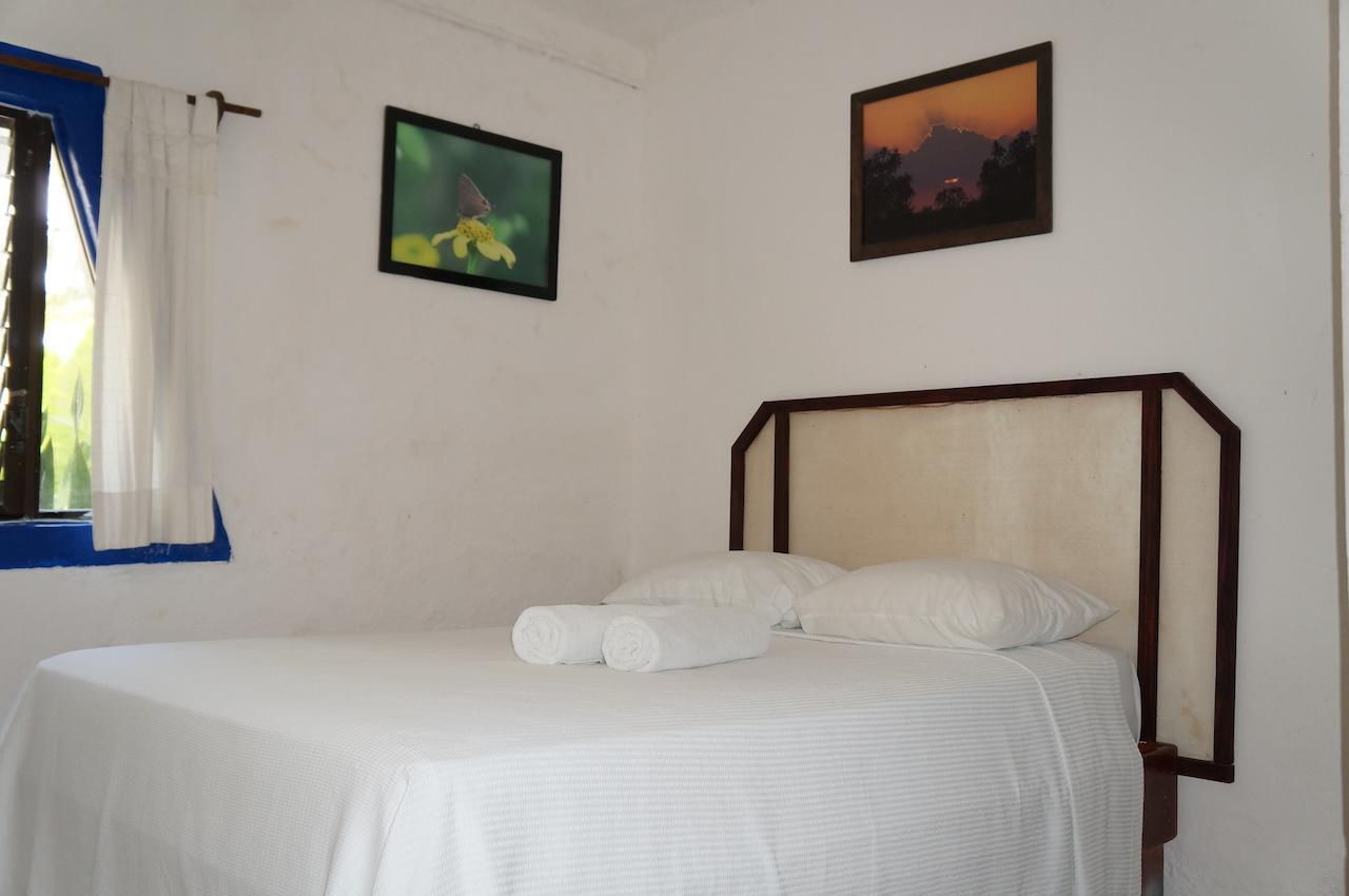 Posada Amor Hotel Boutique Puerto Morelos Extérieur photo
