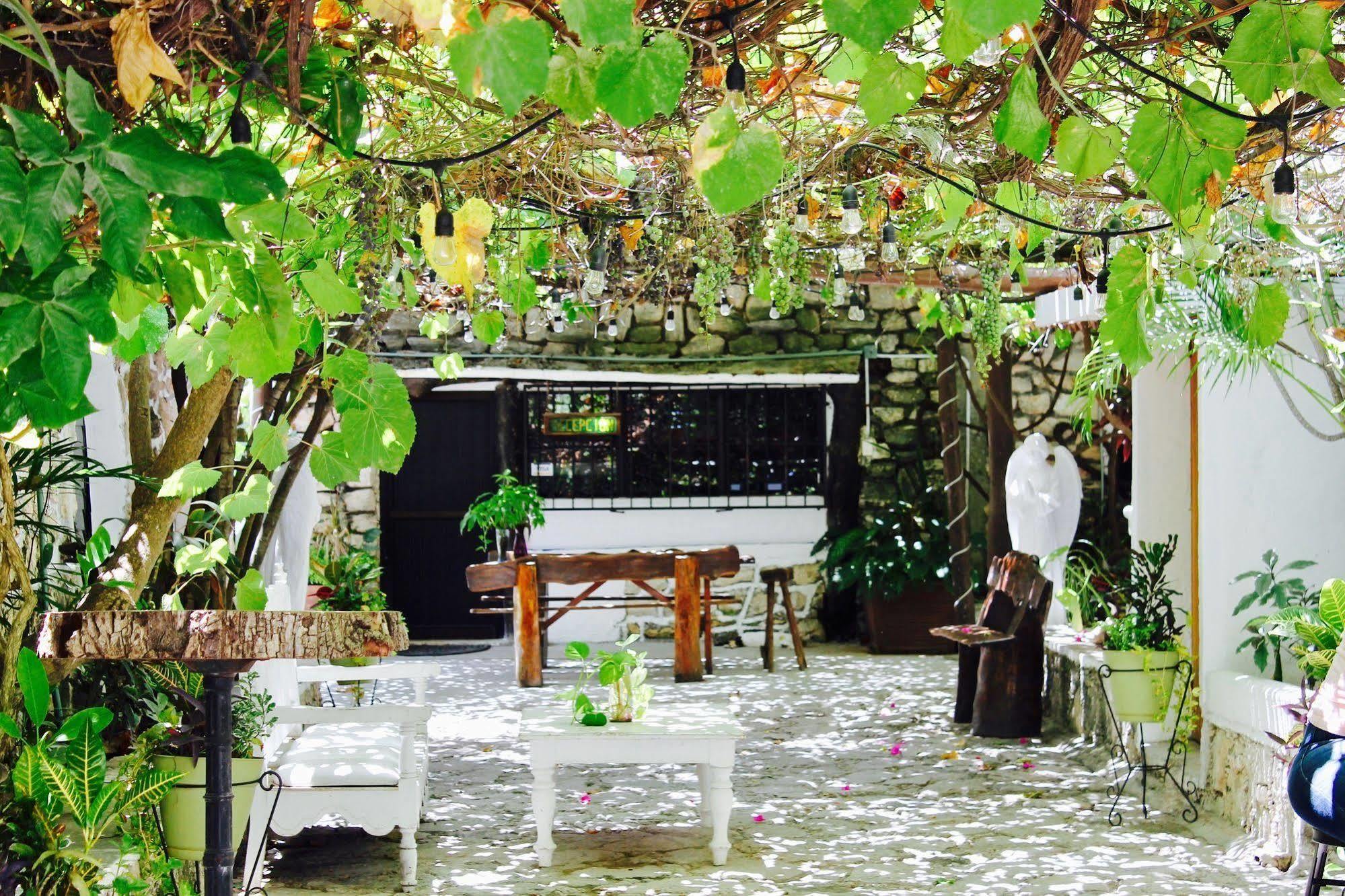 Posada Amor Hotel Boutique Puerto Morelos Extérieur photo
