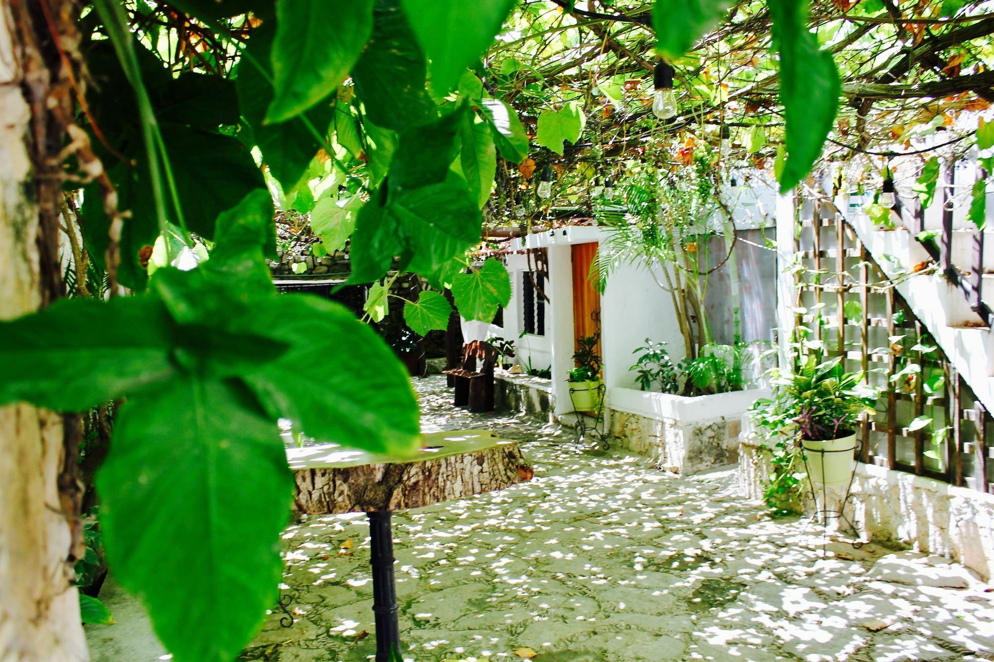 Posada Amor Hotel Boutique Puerto Morelos Extérieur photo